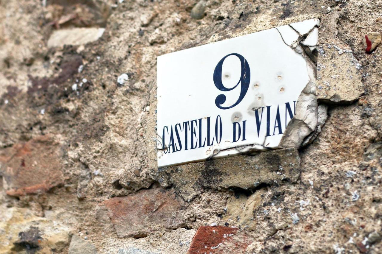 Castello Di Viano Villa Ngoại thất bức ảnh