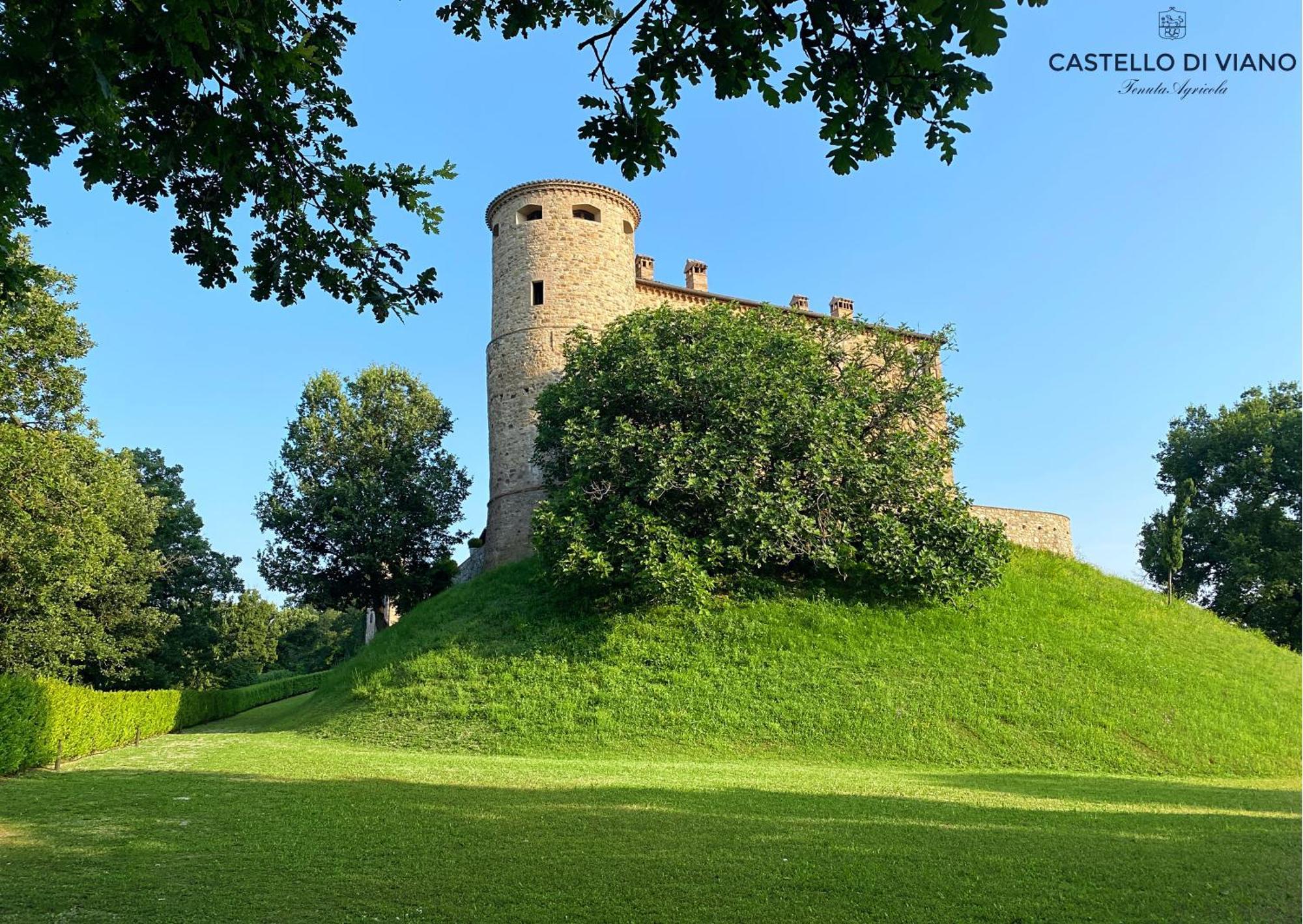 Castello Di Viano Villa Ngoại thất bức ảnh
