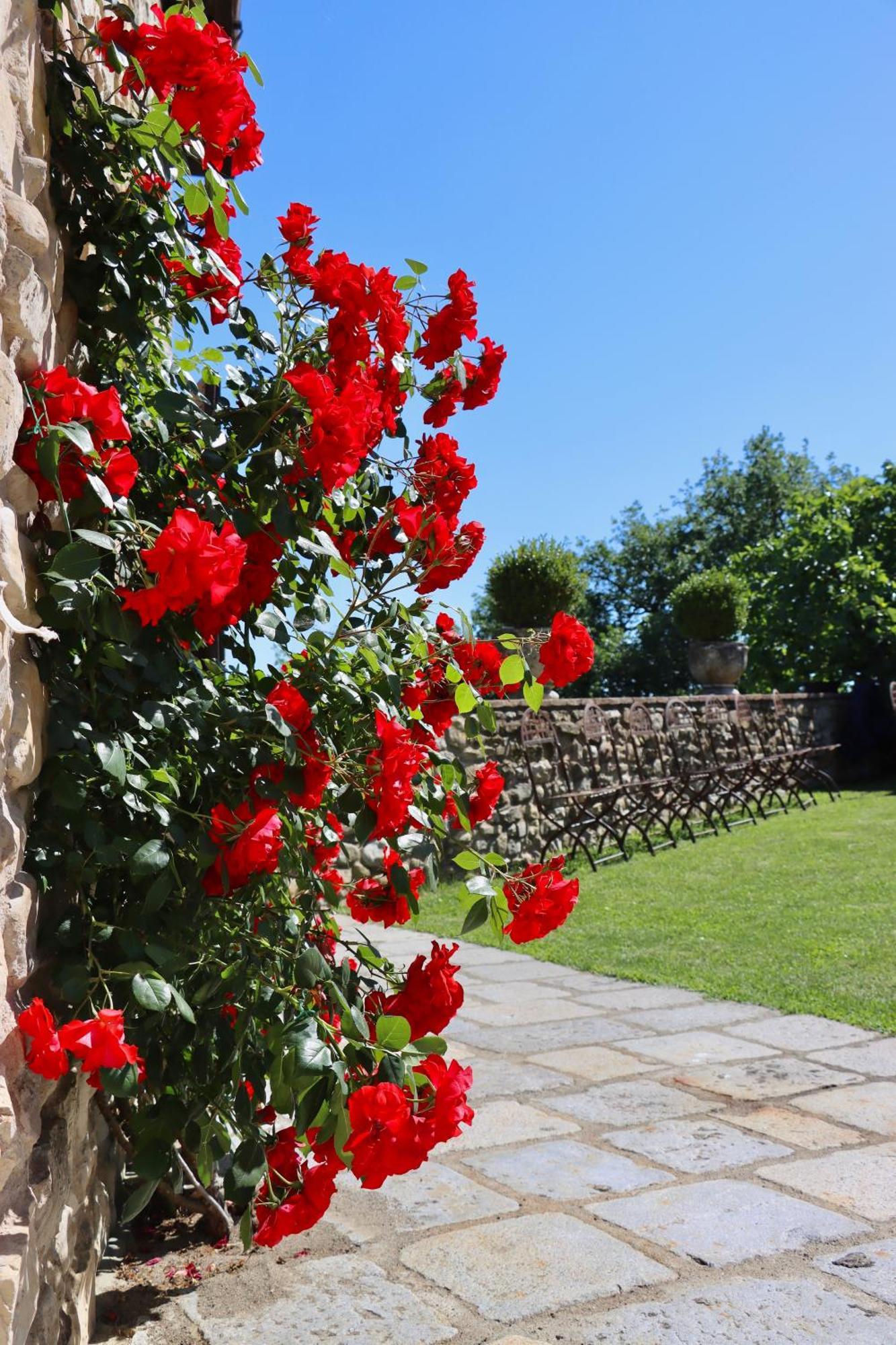 Castello Di Viano Villa Ngoại thất bức ảnh